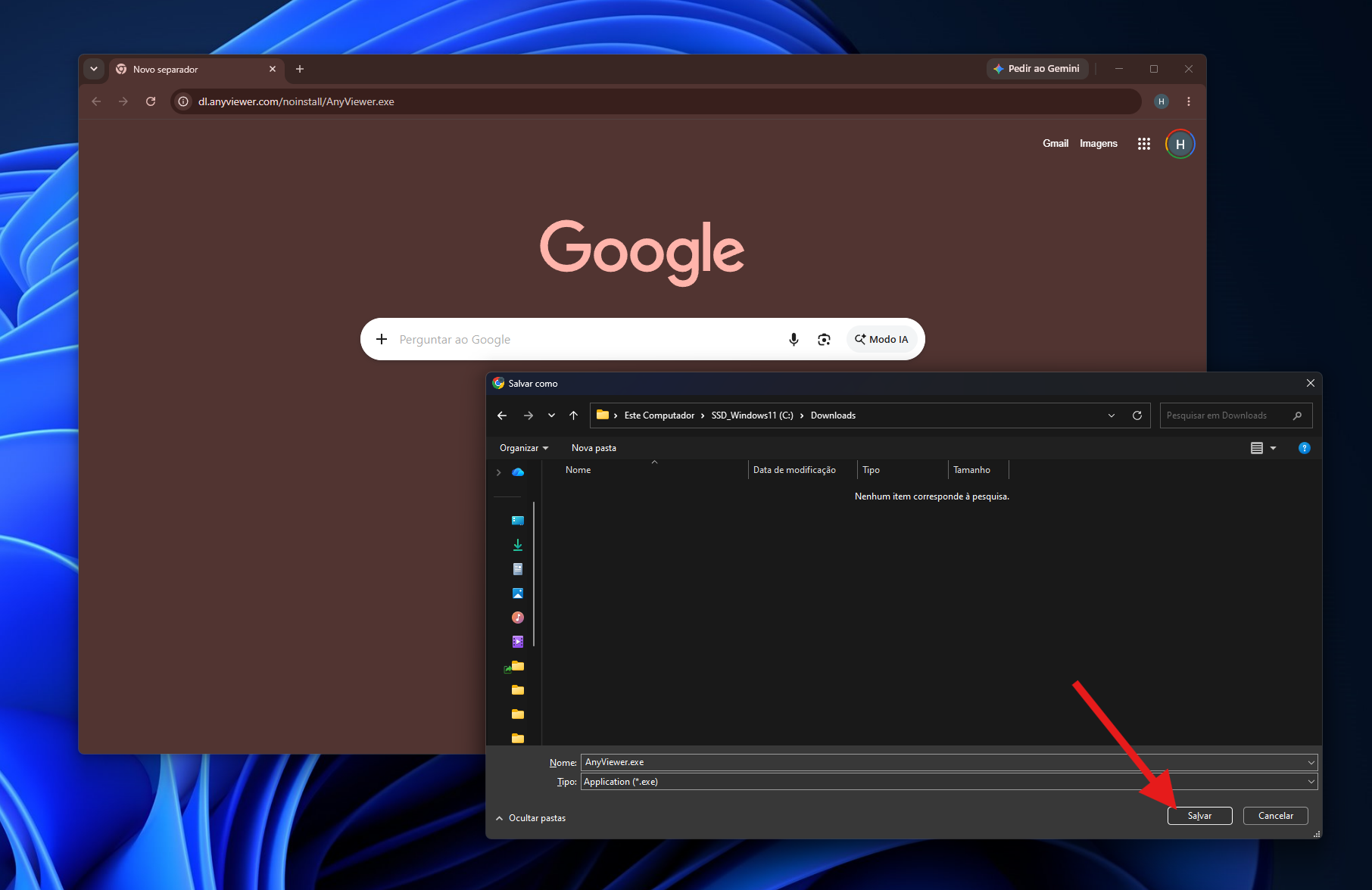 Passo 01: Baixe o AnyViewer
